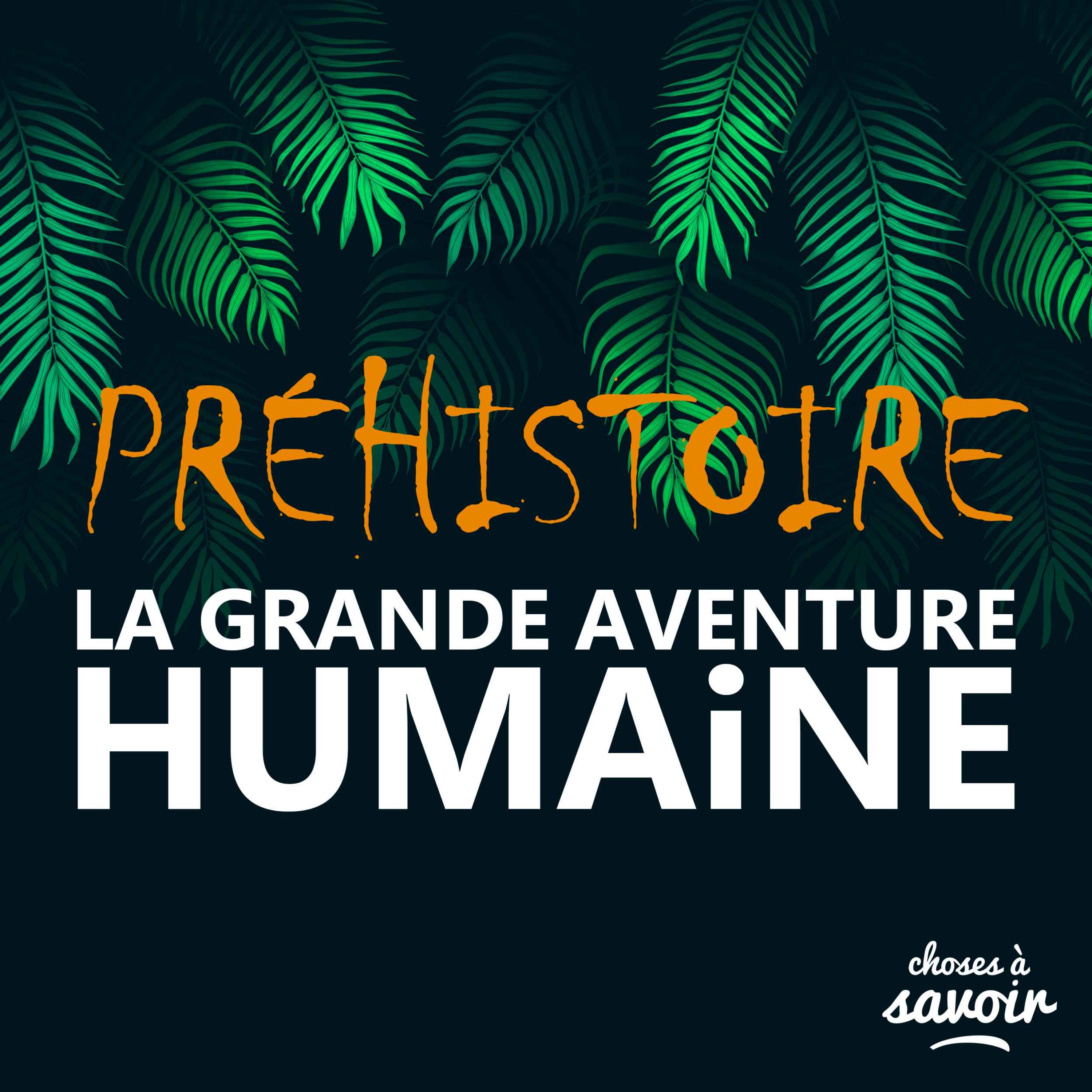 Préhistoire - La grande aventure humaine cover art