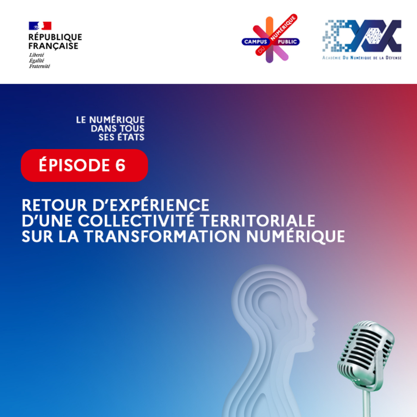 Retour d’expérience d’une collectivité territoriale sur la transformation numérique