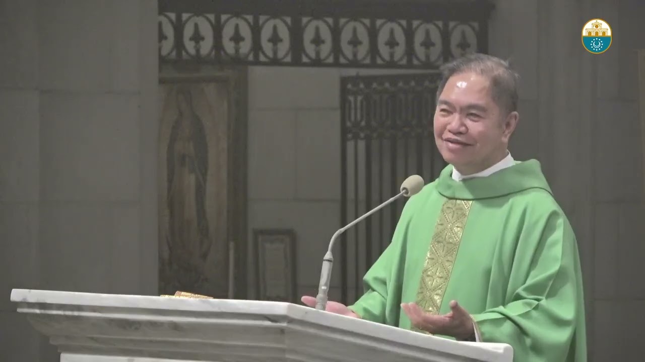 Cathedral Homilies - August 16 (Msgr. Rolly) cover art