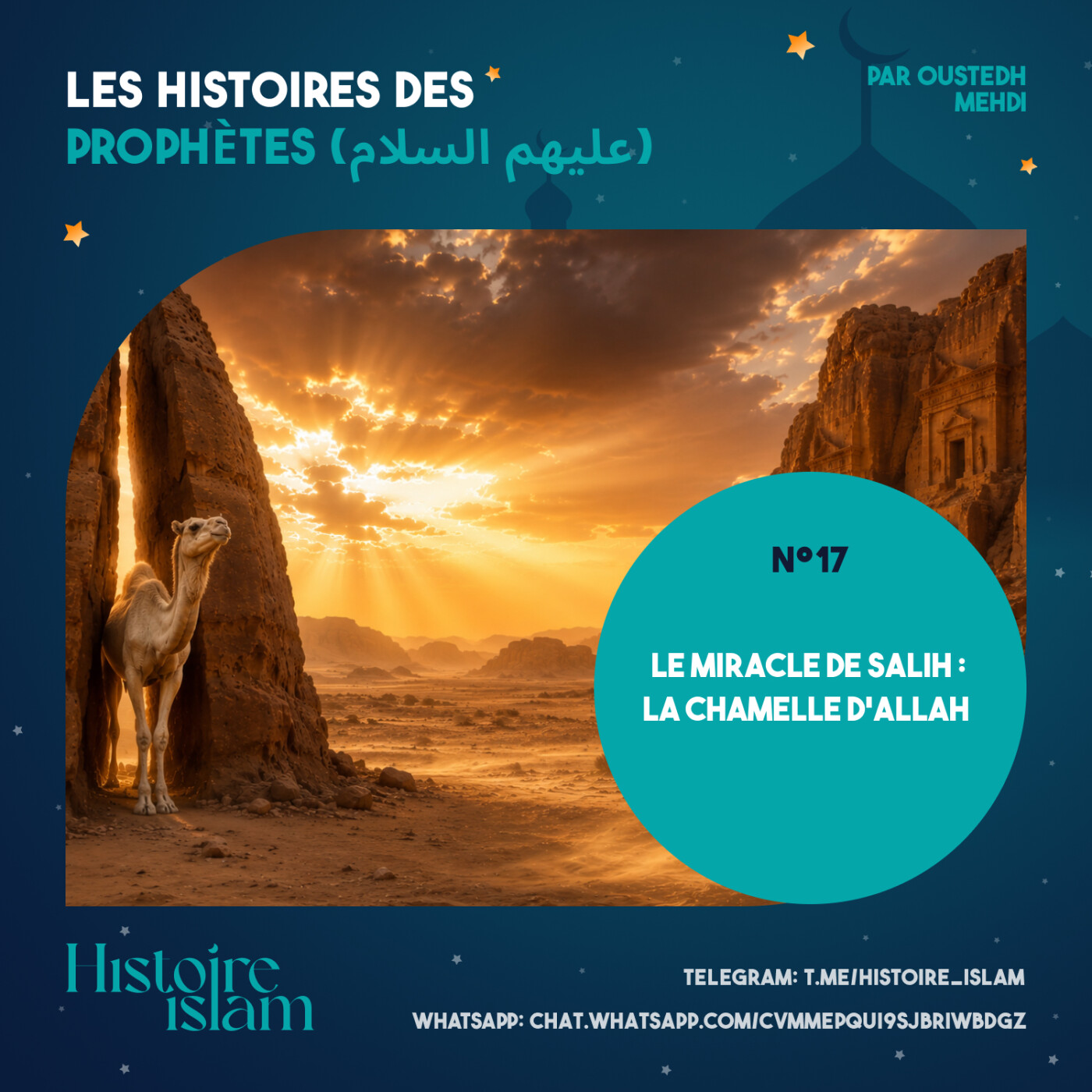 [Ep 17] Le Miracle de Salih : La Chamelle d'Allah [Les Histoires des Prophètes] cover art