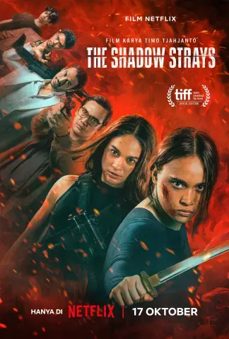 The Shadow Strays (2024) poster