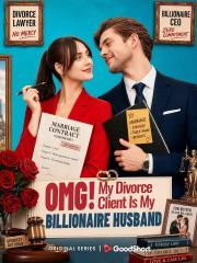 OMG! My Divorce Client Is My Billionaire Husband — blurred background