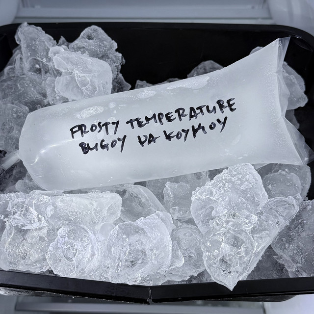 Dope Shit cover art