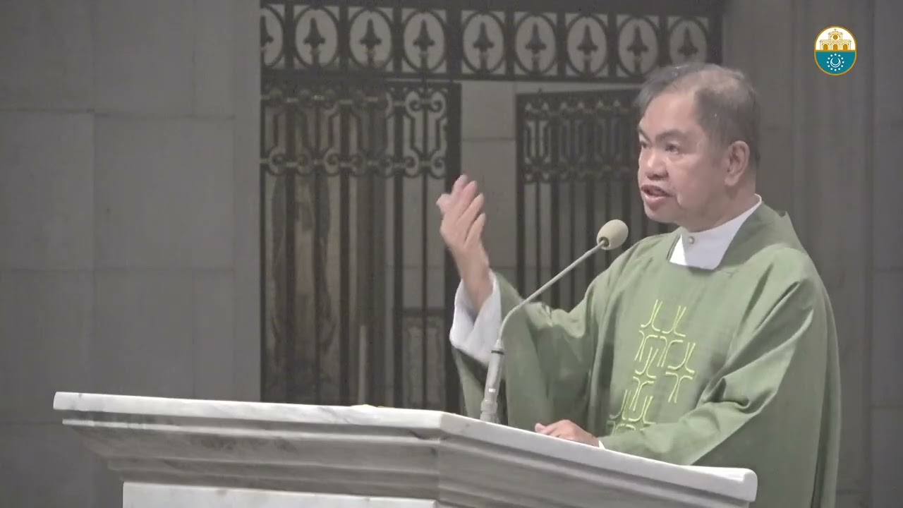 Cathedral Homilies - August 18 (Msgr. Rolly) cover art