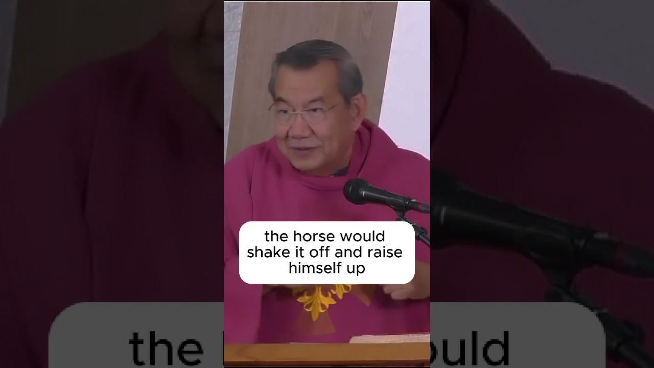 Shake It Off and Raise Yourself Up (The Story of the Horse) cover art