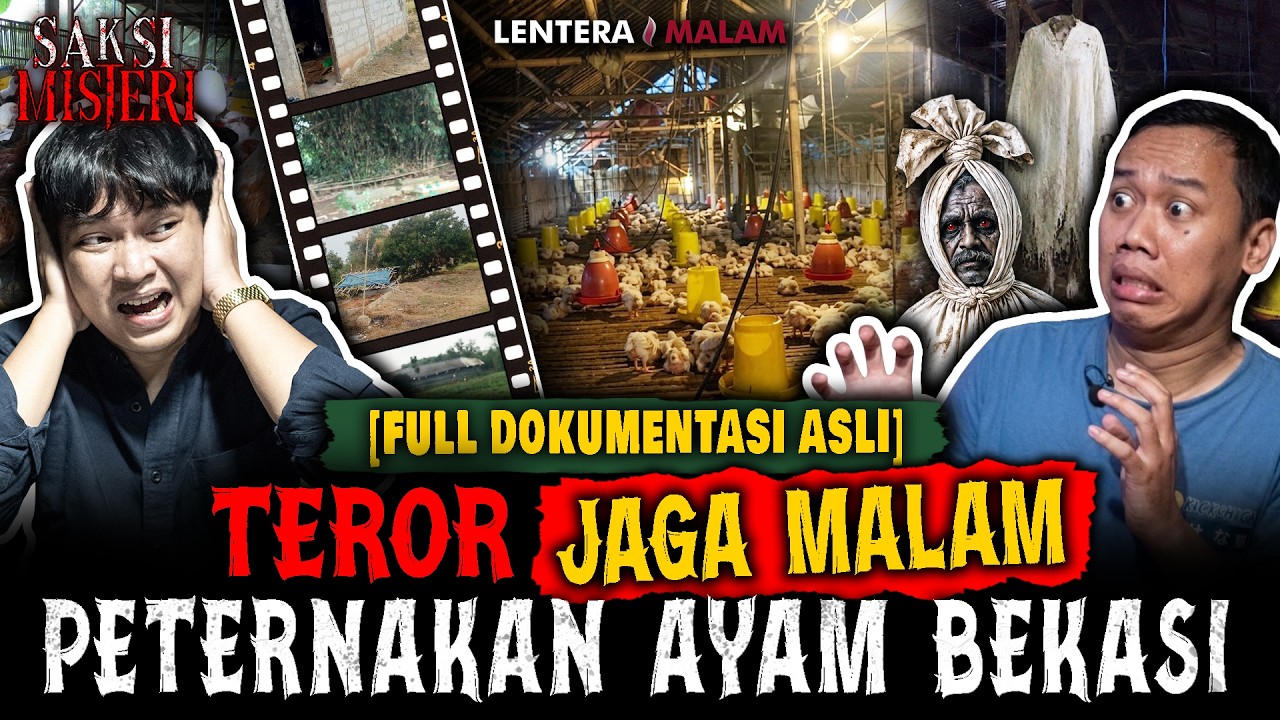 SUMPAH !!! NGGAK ADA YANG BETAH JAGA PETERNAKAN AYAM SATU INI DI BEKASI !!! cover art