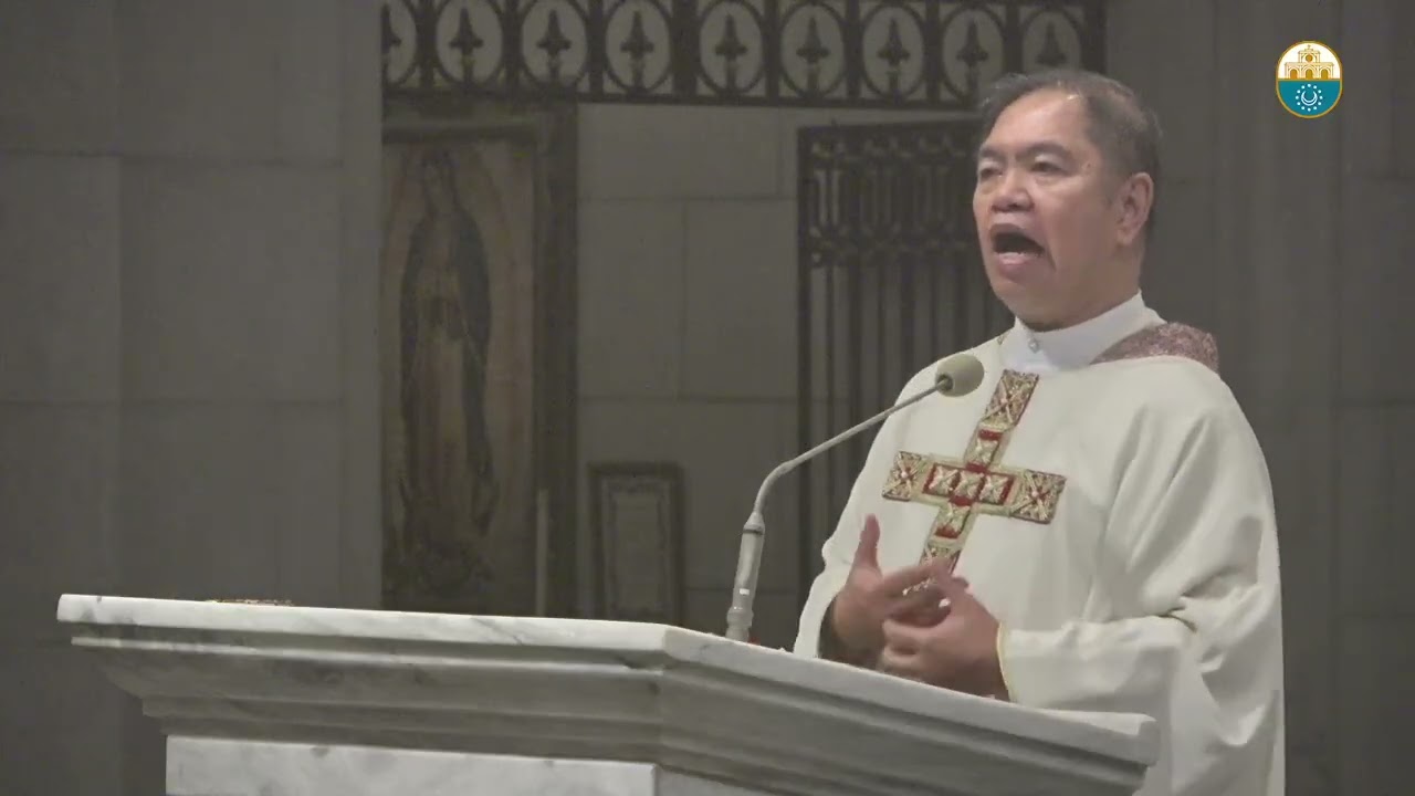Cathedral Homilies - August 19 (Msgr. Rolly) cover art