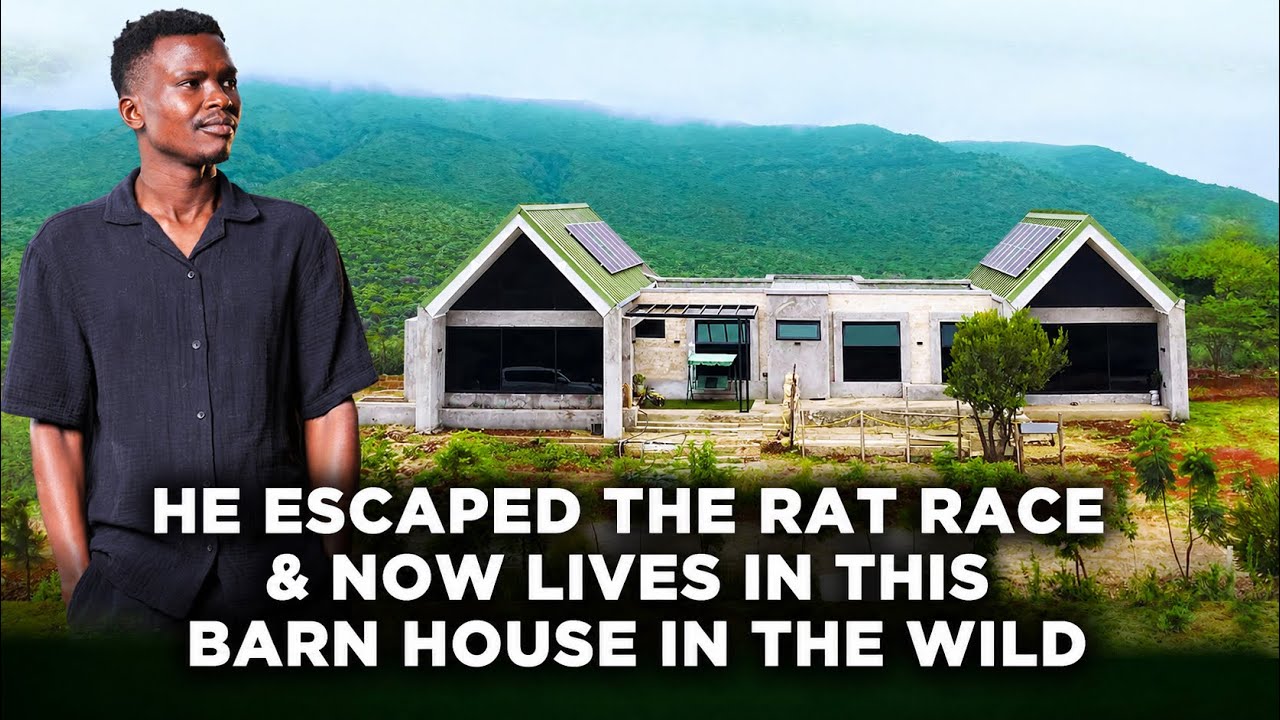 This 33 Year Old Man Left the City and Built His Off-Grid Barn Home in the Wild | Lynn Ngugi Show cover art