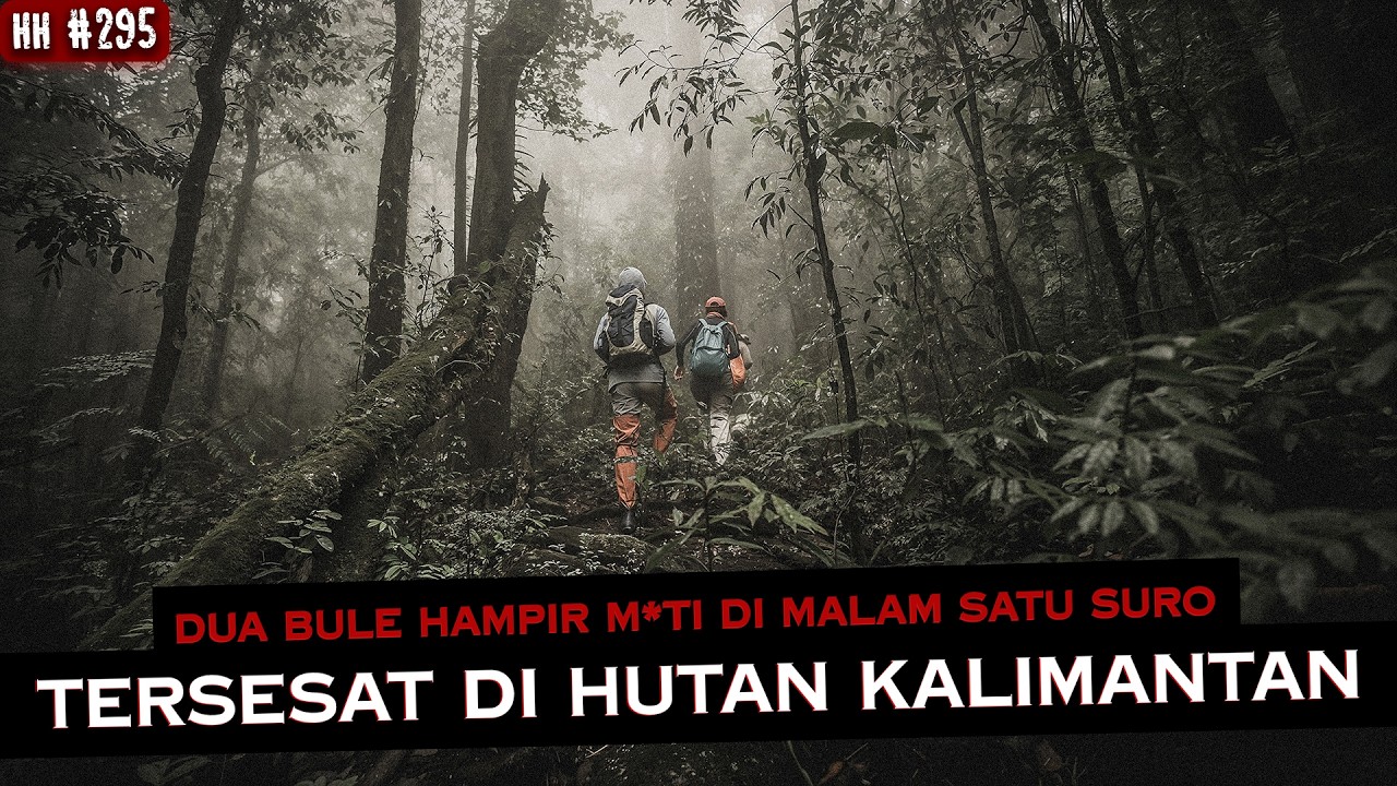 DUA TURIS PRANCIS NYARIS PINDAH ALAM DI HUTAN KALIMANTAN | #haushorror cover art