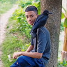author avatar