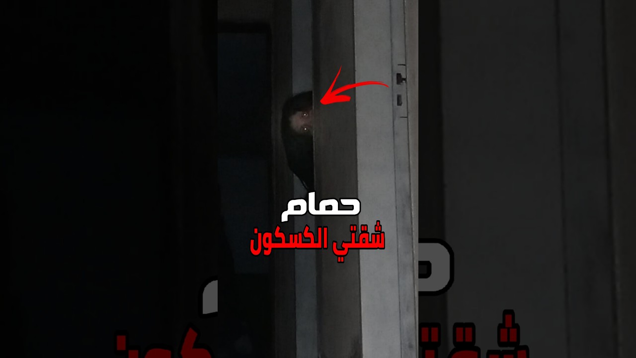 موقف حقيقي ليس له تفسير حصل لي cover art