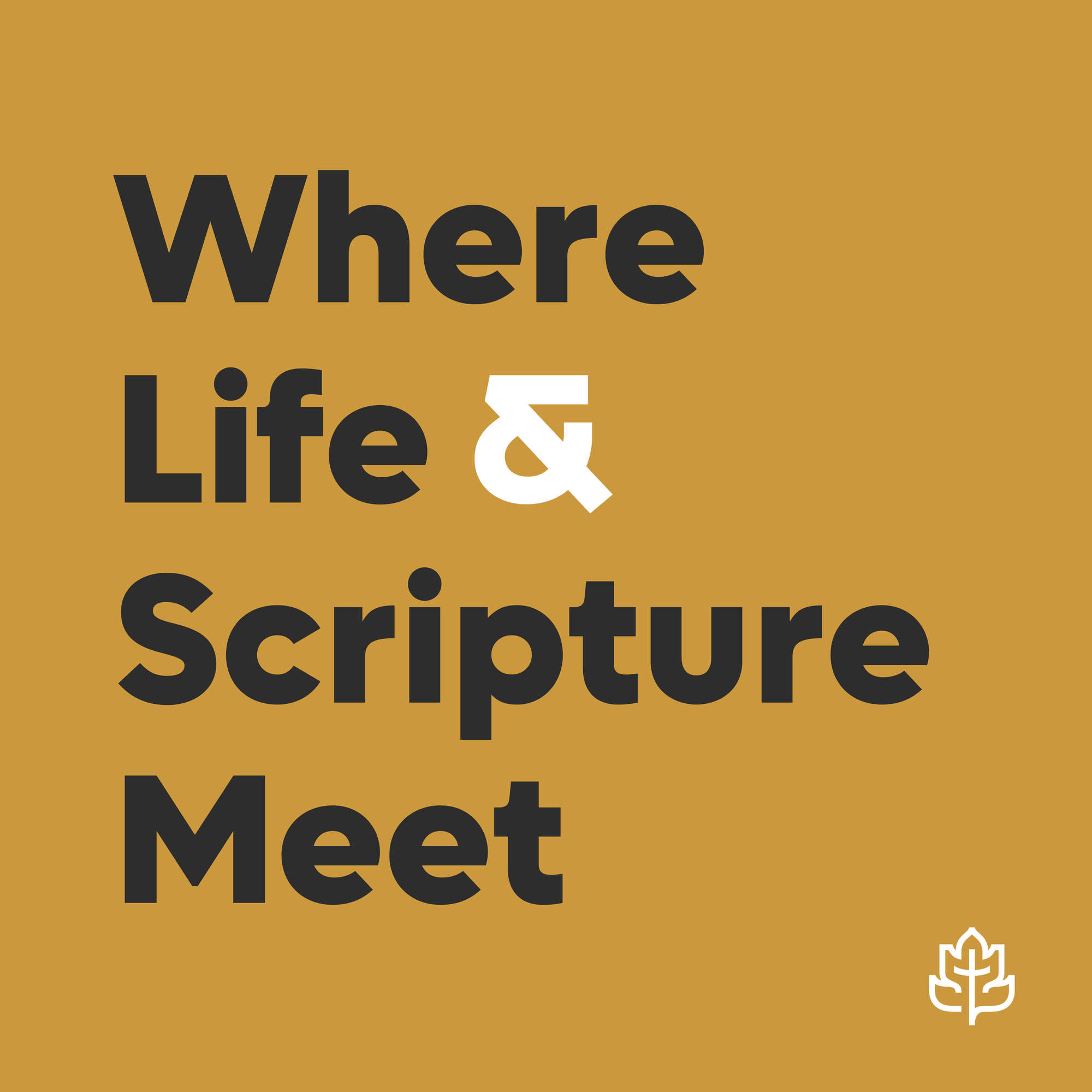 CCEF Podcast: Where Life & Scripture Meet cover art