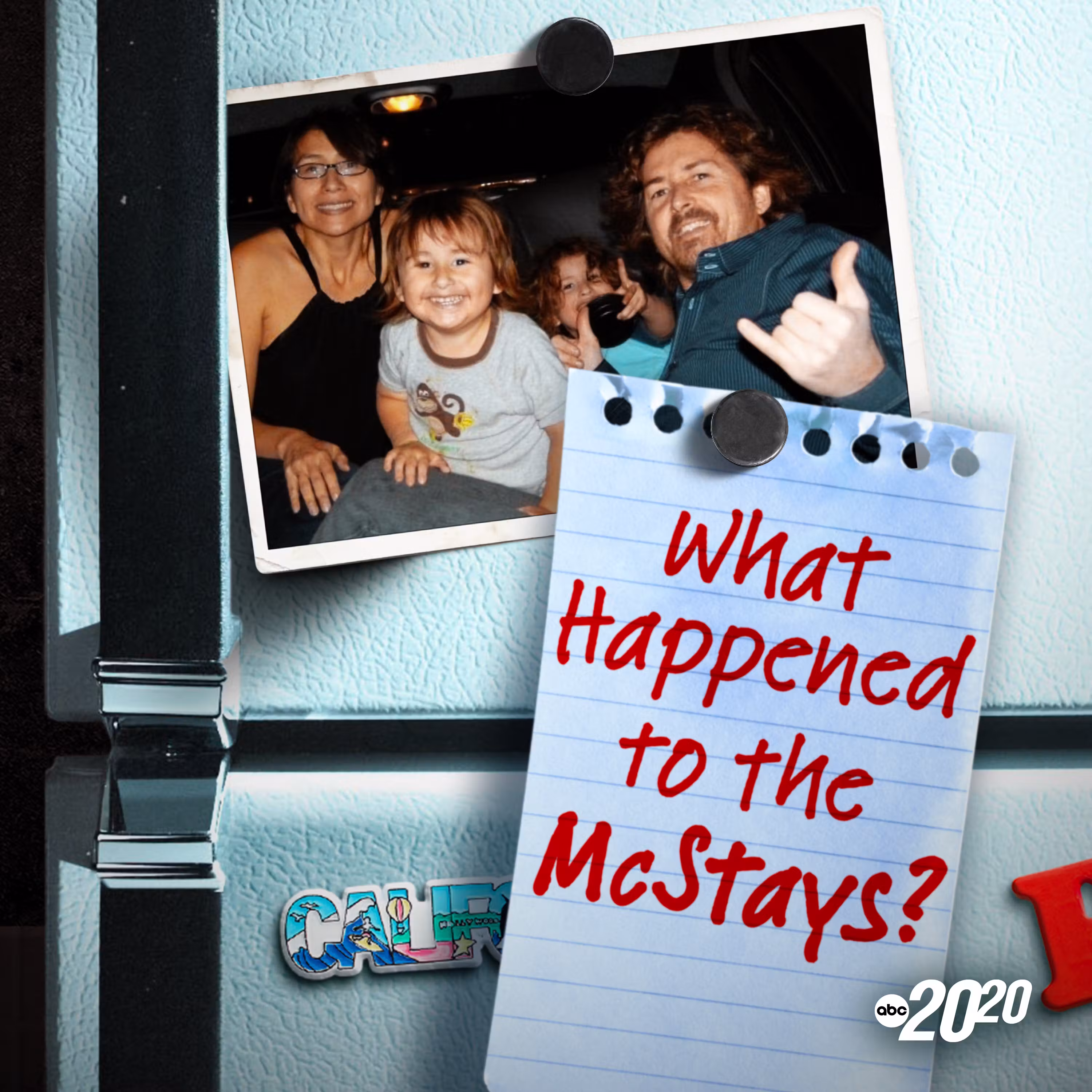 What Happened to the McStays? cover art