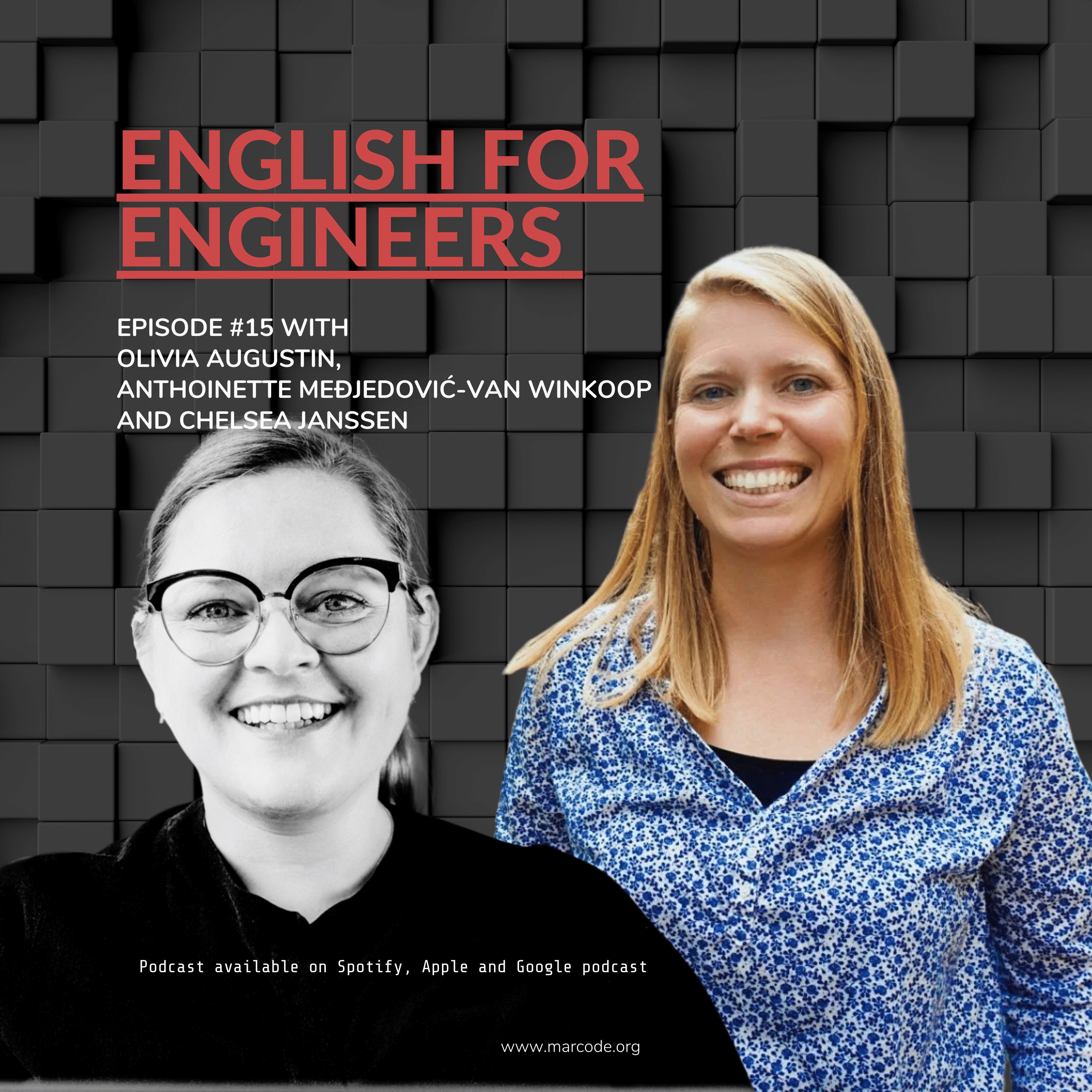 E15: Technical Translators - The Unsung Heroes of Engineering cover art