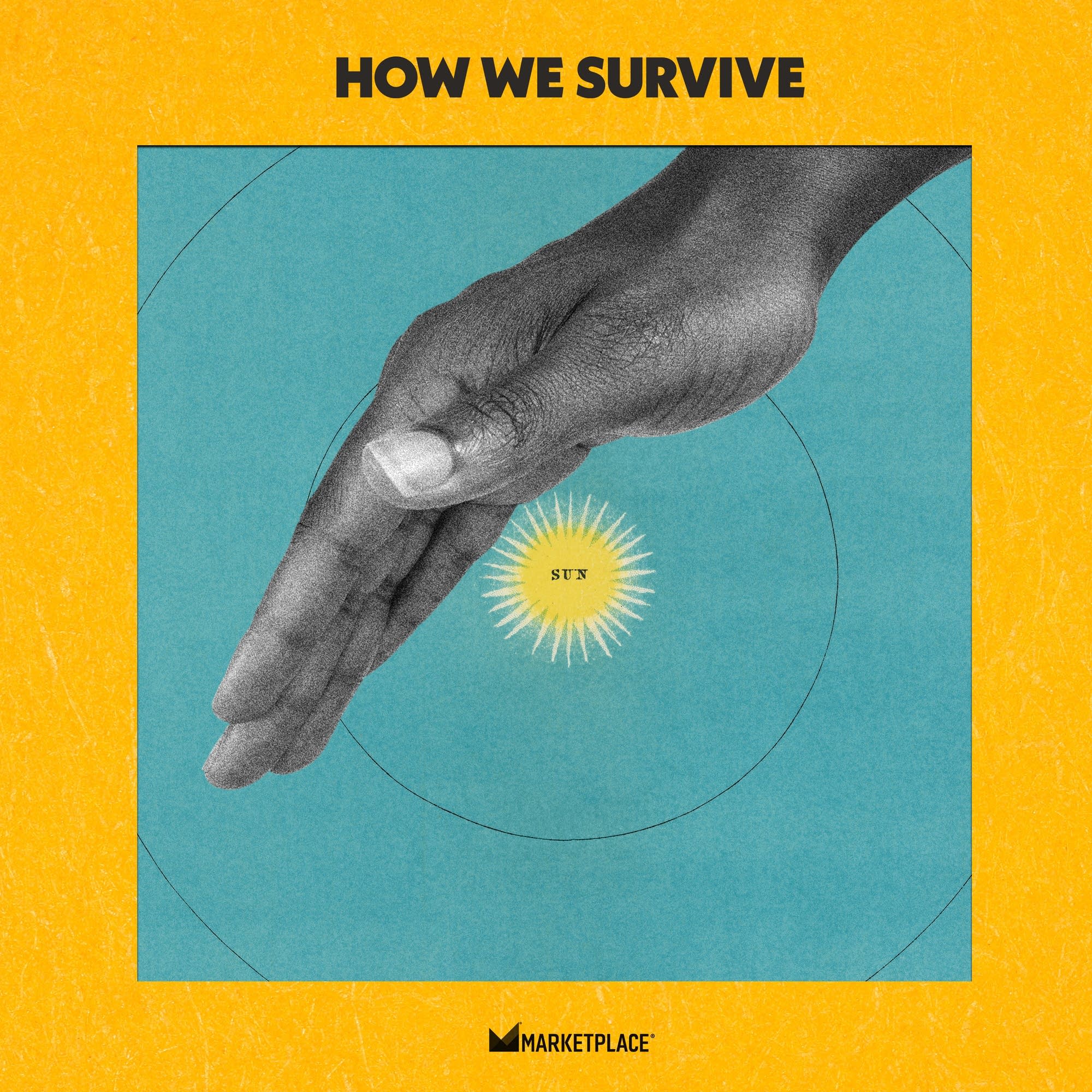 From "How We Survive": How to Dim the Sun cover art