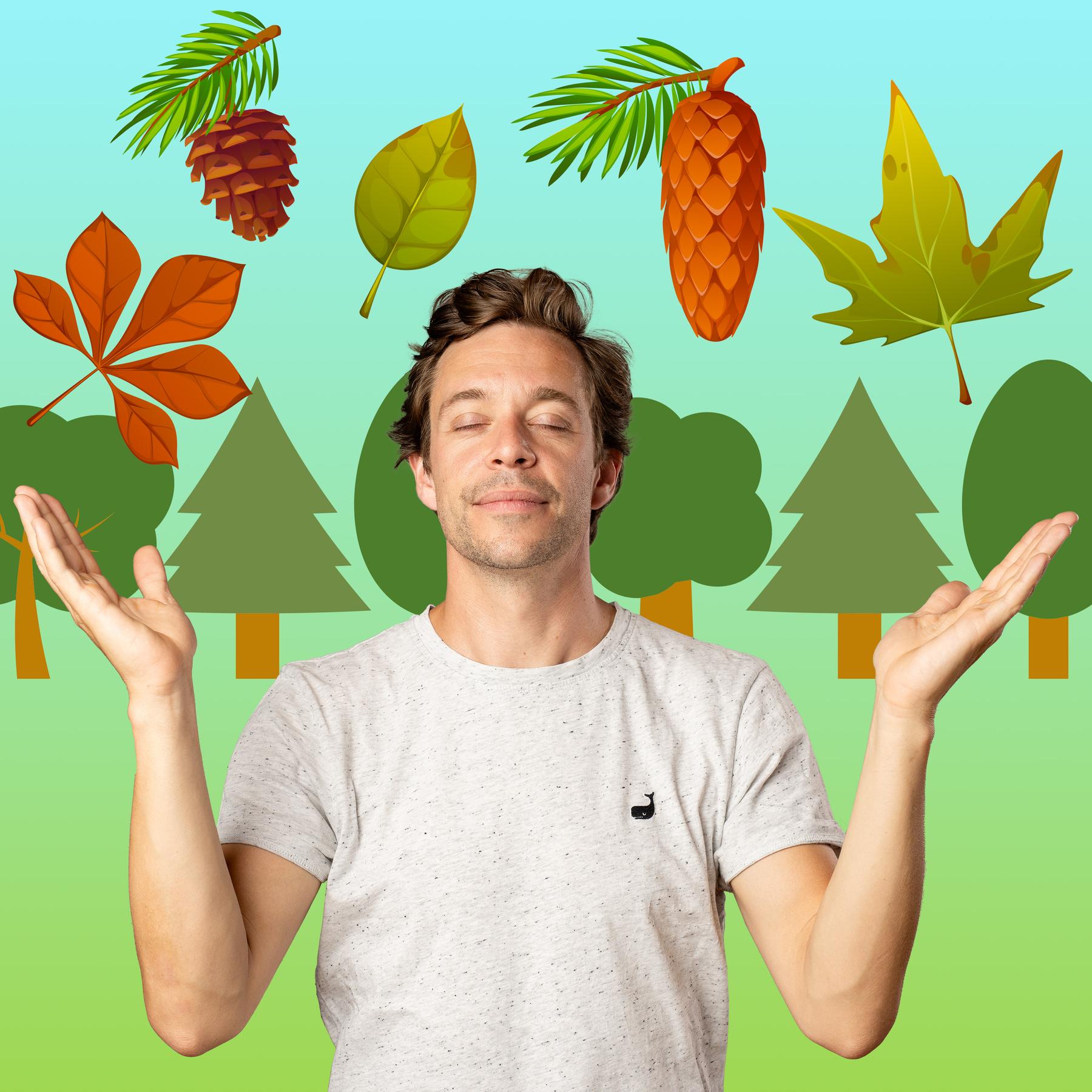 CheckPod Klassiker: Bäume | Über Bonsais und Mammutbäume cover art