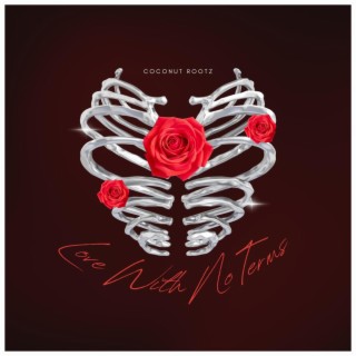 Love With No Terms cover art