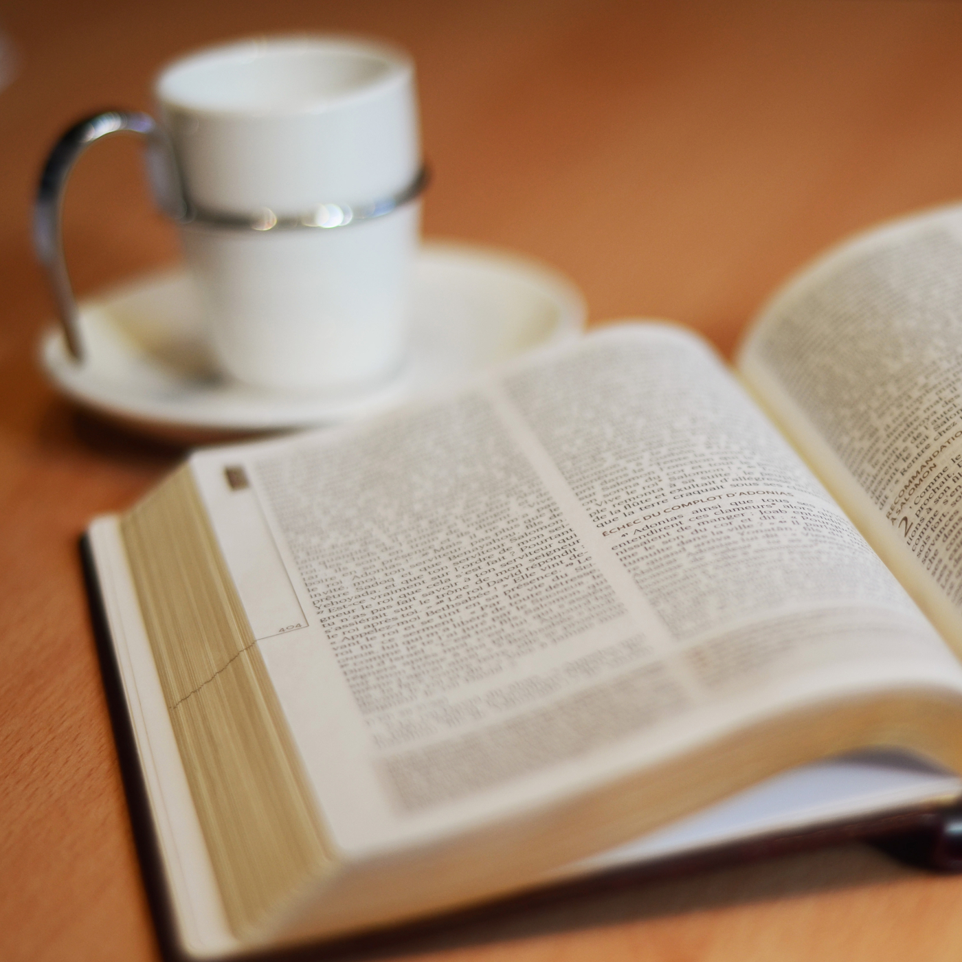 Lecture quotidienne de la bible en 1 an cover art