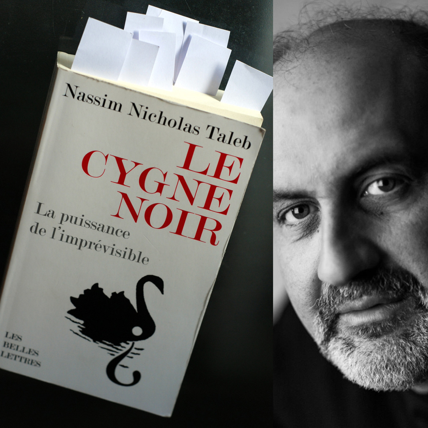 Le Cygne Noir de Nassim Nicholas Taleb (1 sur 3) cover art