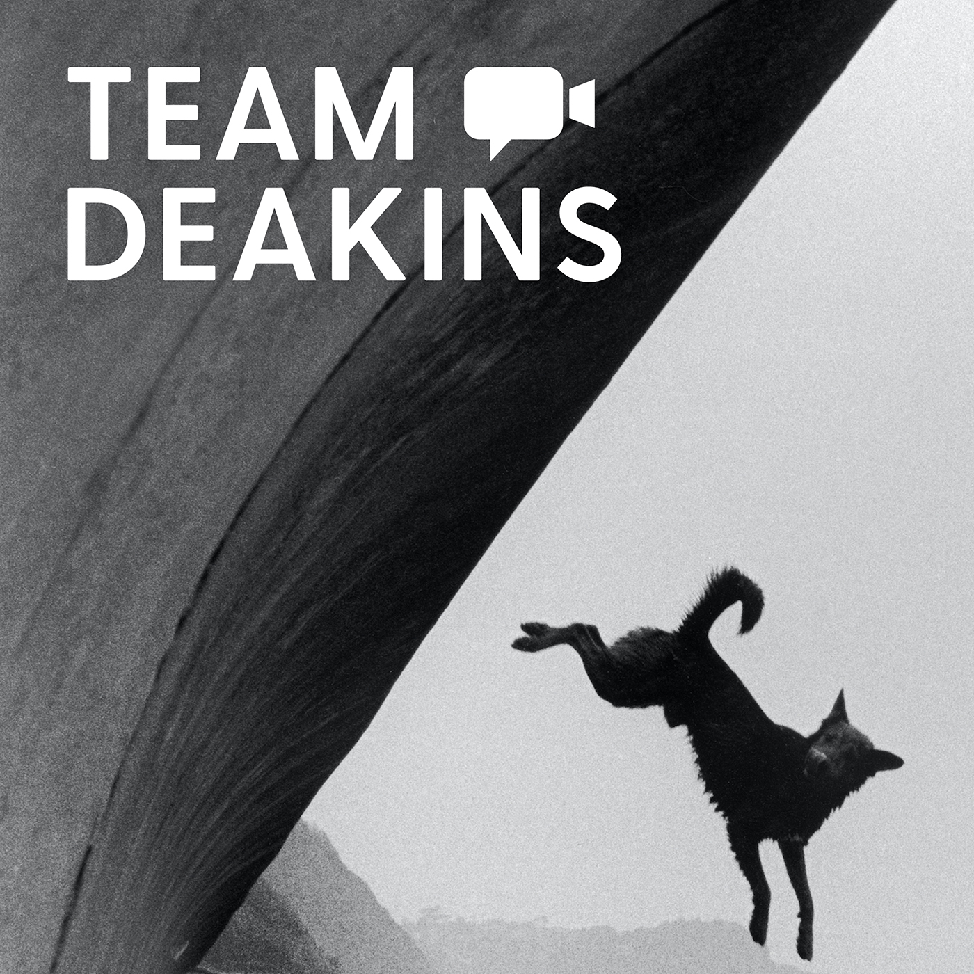 Team Deakins cover art