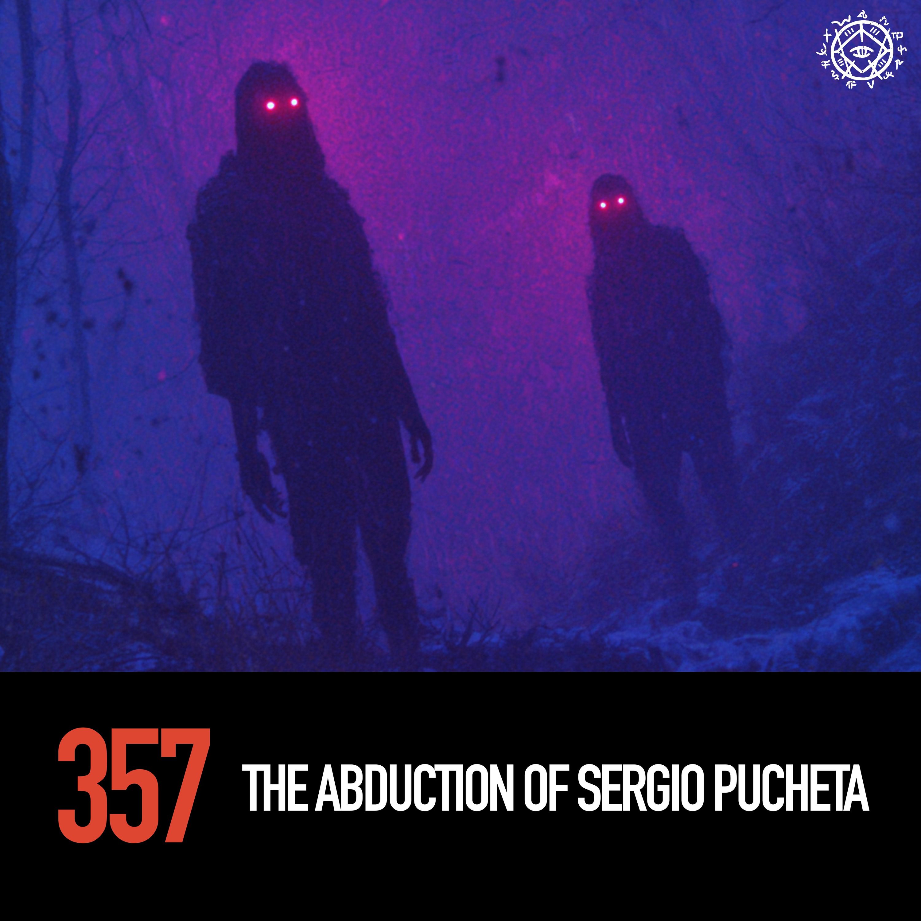 The Abduction of Sergio Pucheta cover art