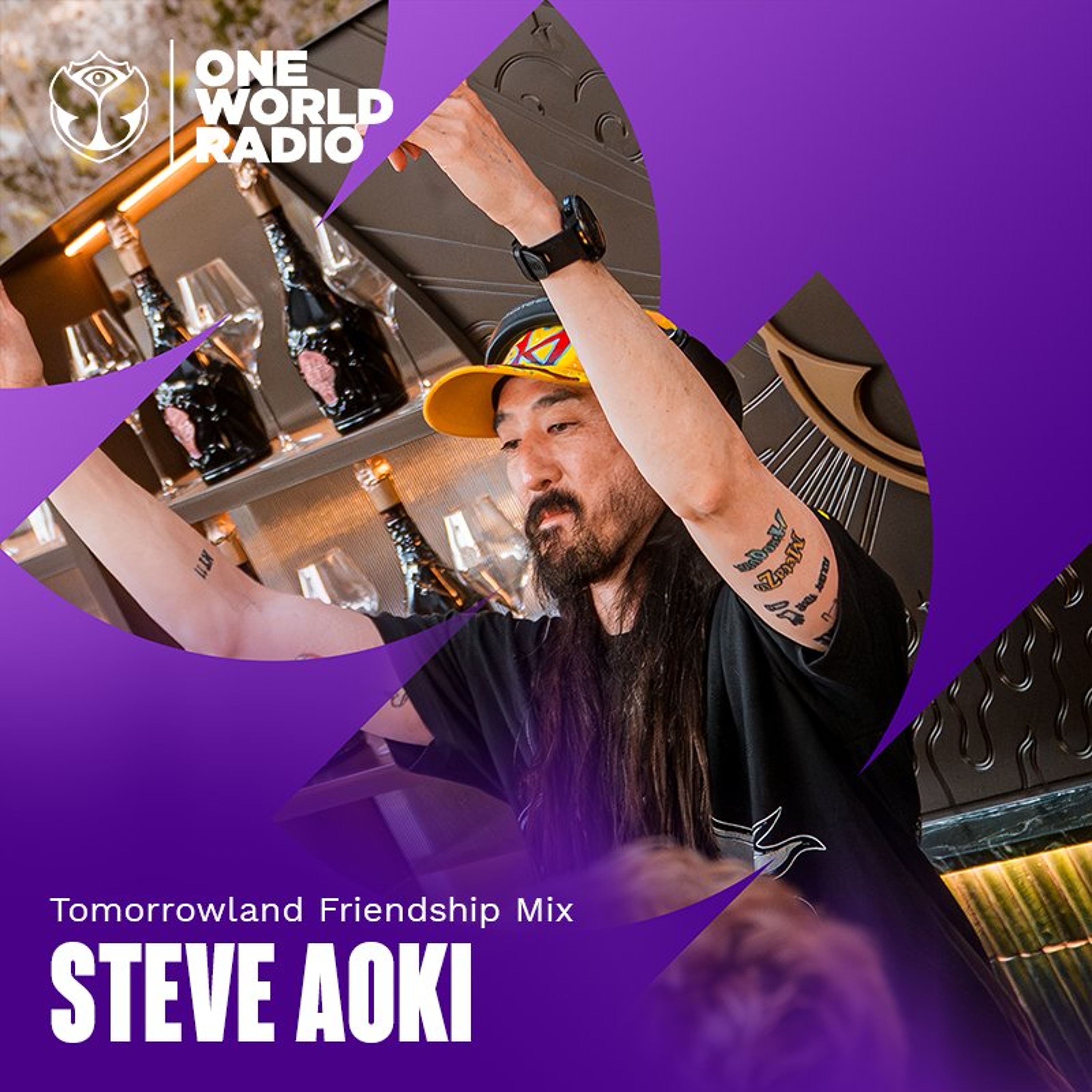 Tomorrowland Friendship Mix with Steve Aoki - August, 2026 cover art