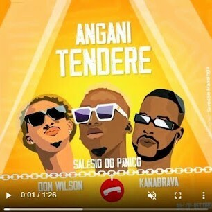 Salésio do Pânico FT Don Wilson & Kanabrava - Angani Tendere cover art