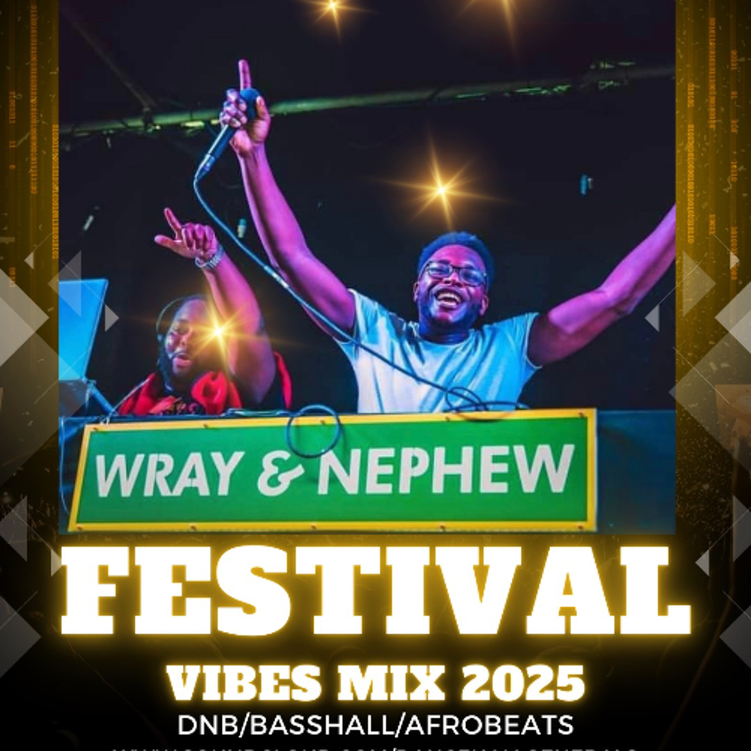 FESTIVAL VIBES 2025 - DNB/BASSHALL/AFROBEATS ft Burna Boy, Shy Fx, Tyla, Irah, Case & Status, Davido & more cover art