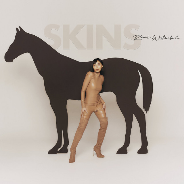 Skins cover art