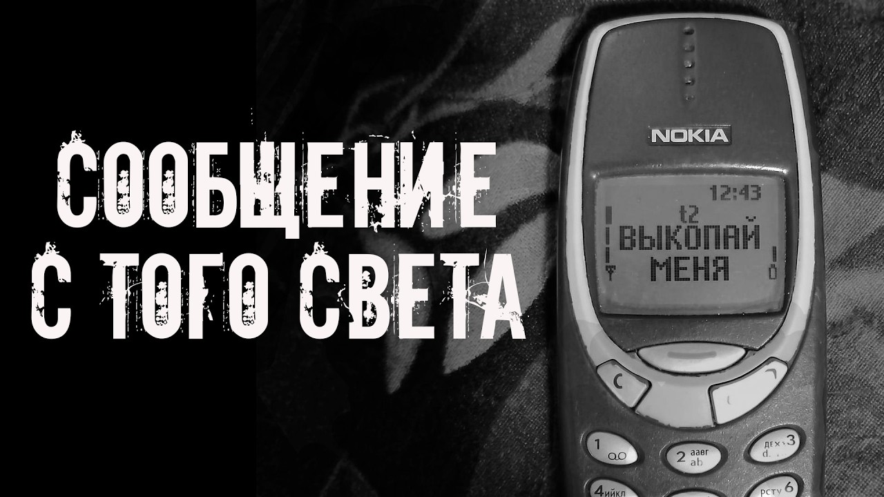 Выкопай меня! Страшные истории на ночь. Страшилки на ночь cover art