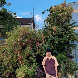 author avatar
