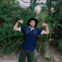 author avatar