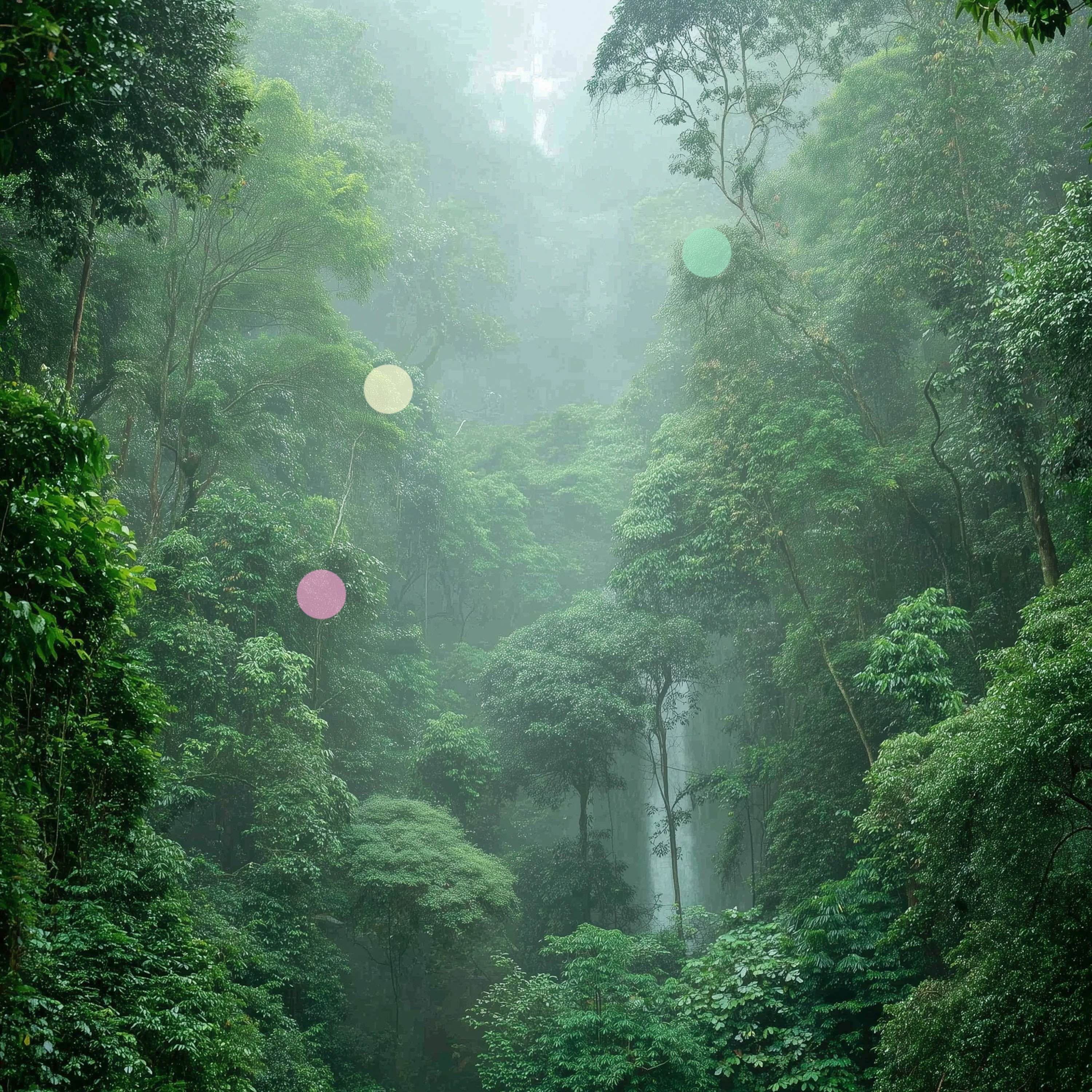 Forêt Tropicale à Ko Yao Yai | Cascade Lointaine et Insectes du Soir cover art