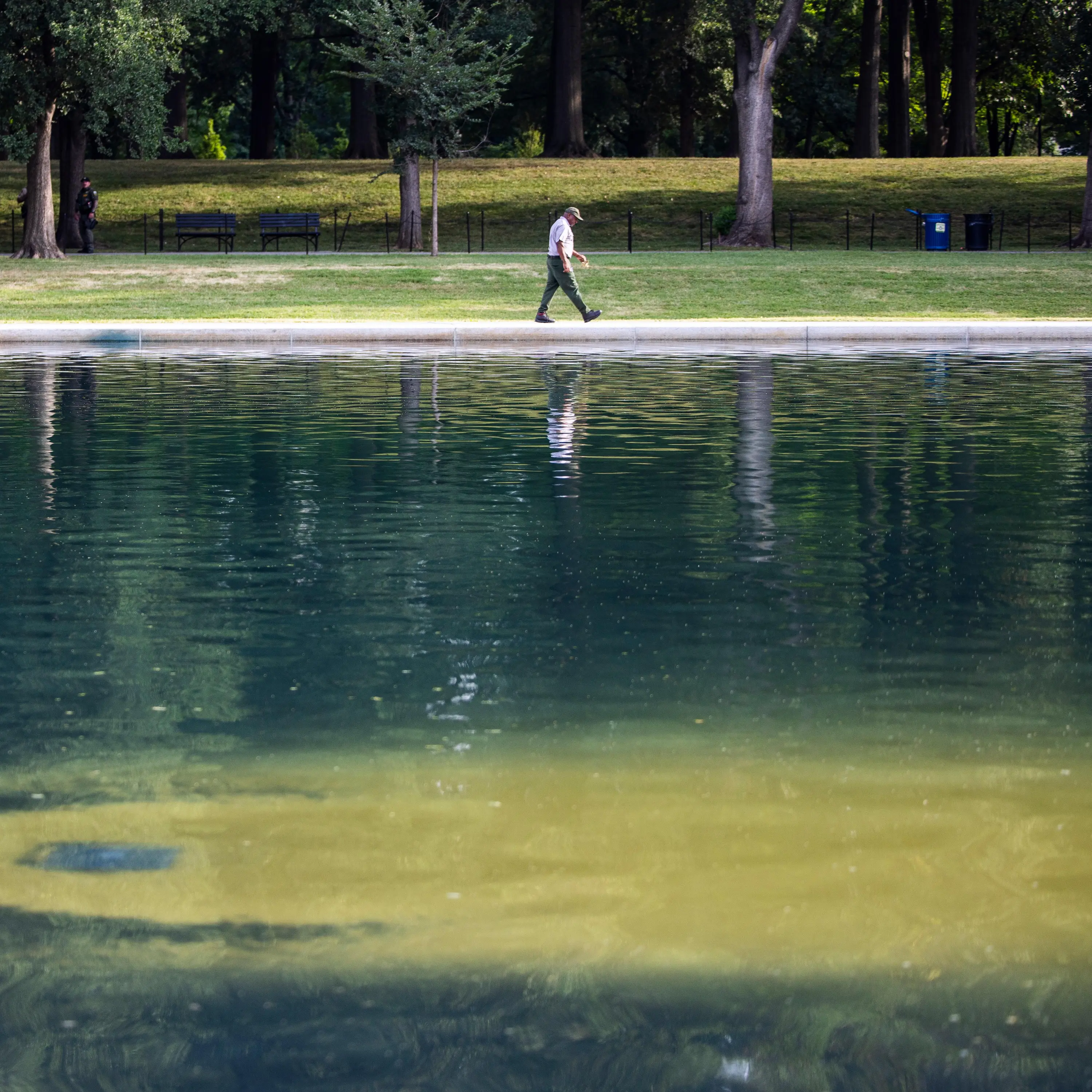 Reflecting pool algae: the science Trump needs to know cover art