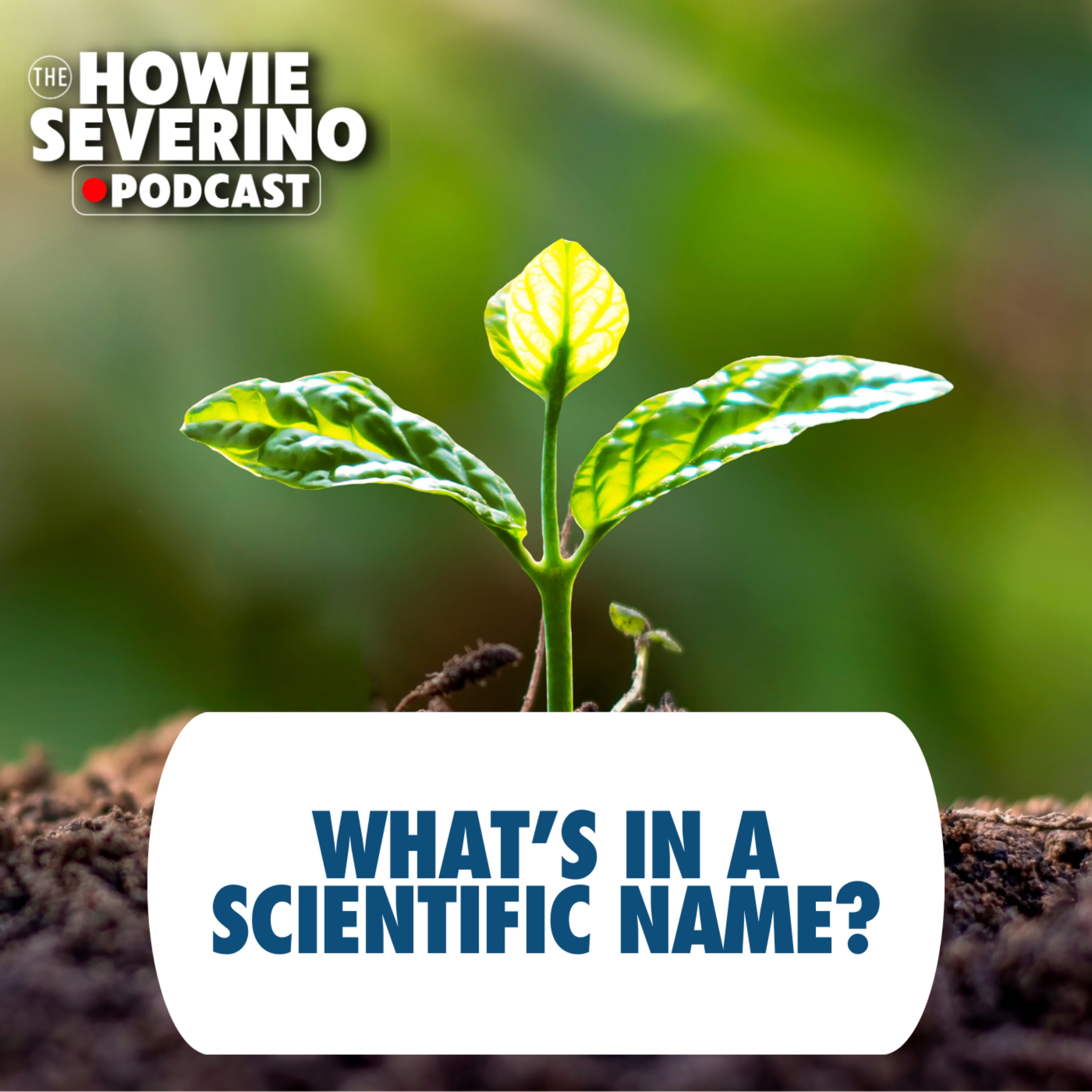 [MINISODE] Celine Murillo on the importance of using scientific names cover art