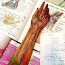 author avatar