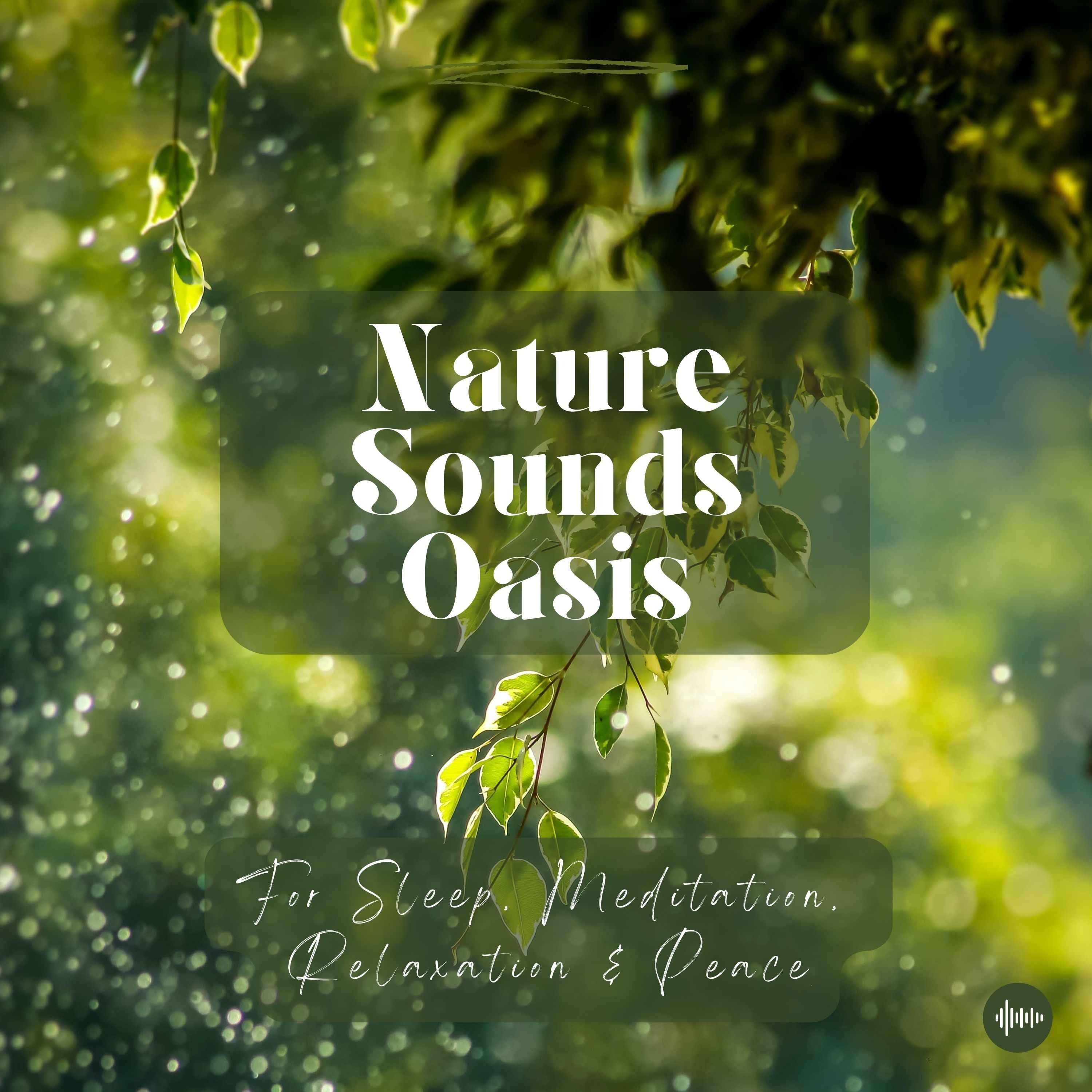 Nature Sounds Oasis | Relaxing Nature Sounds For Sleep, Meditation, Relaxation Or Focus | Sounds Of Nature | Sleep Sounds, Sl cover art