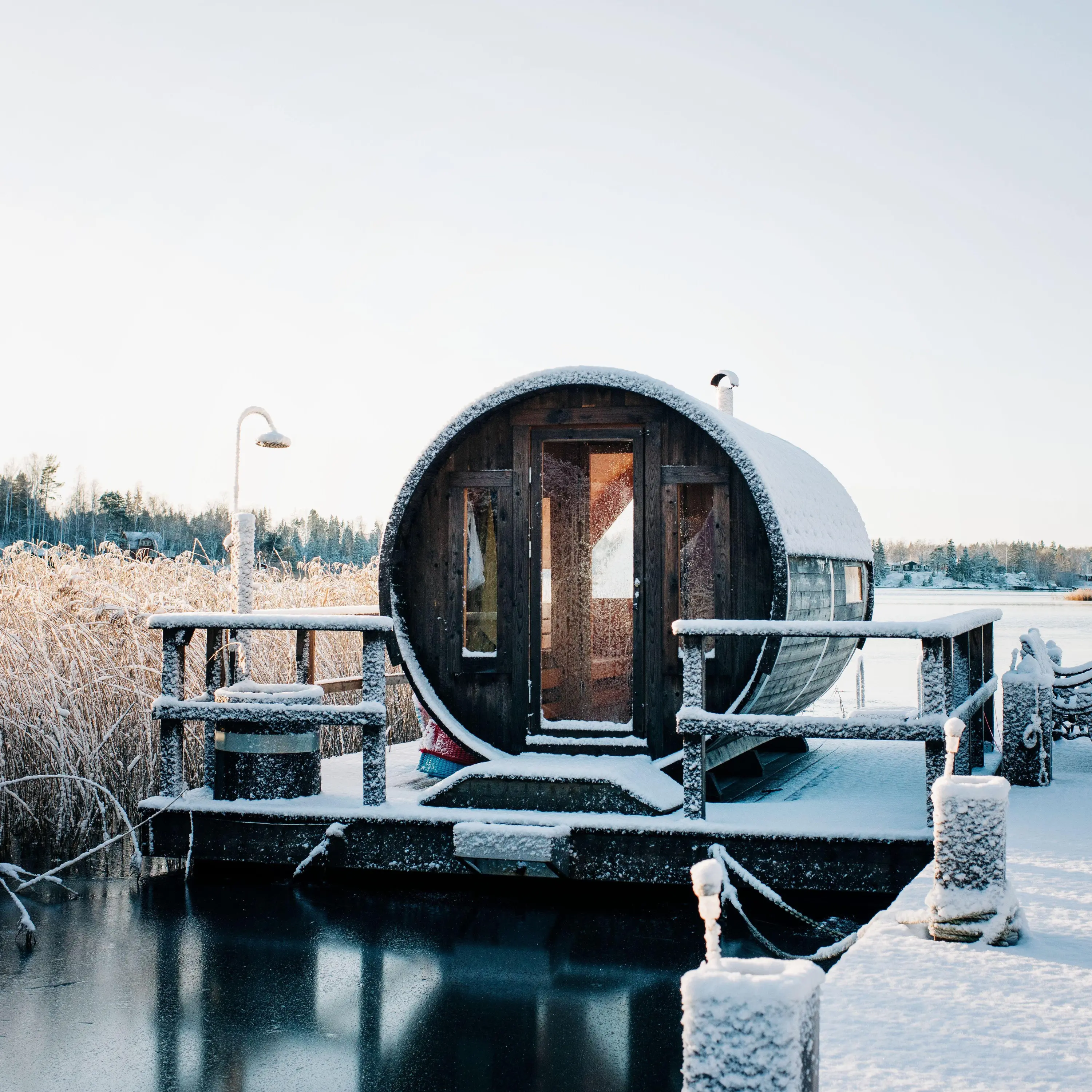 Revisited: Saunas and cold plunges, where does the evidence stand? cover art