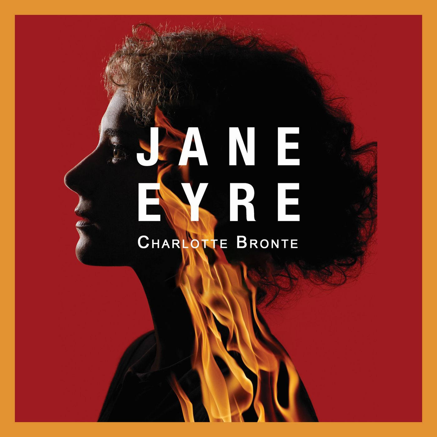 Jane Eyre - Chapter 29