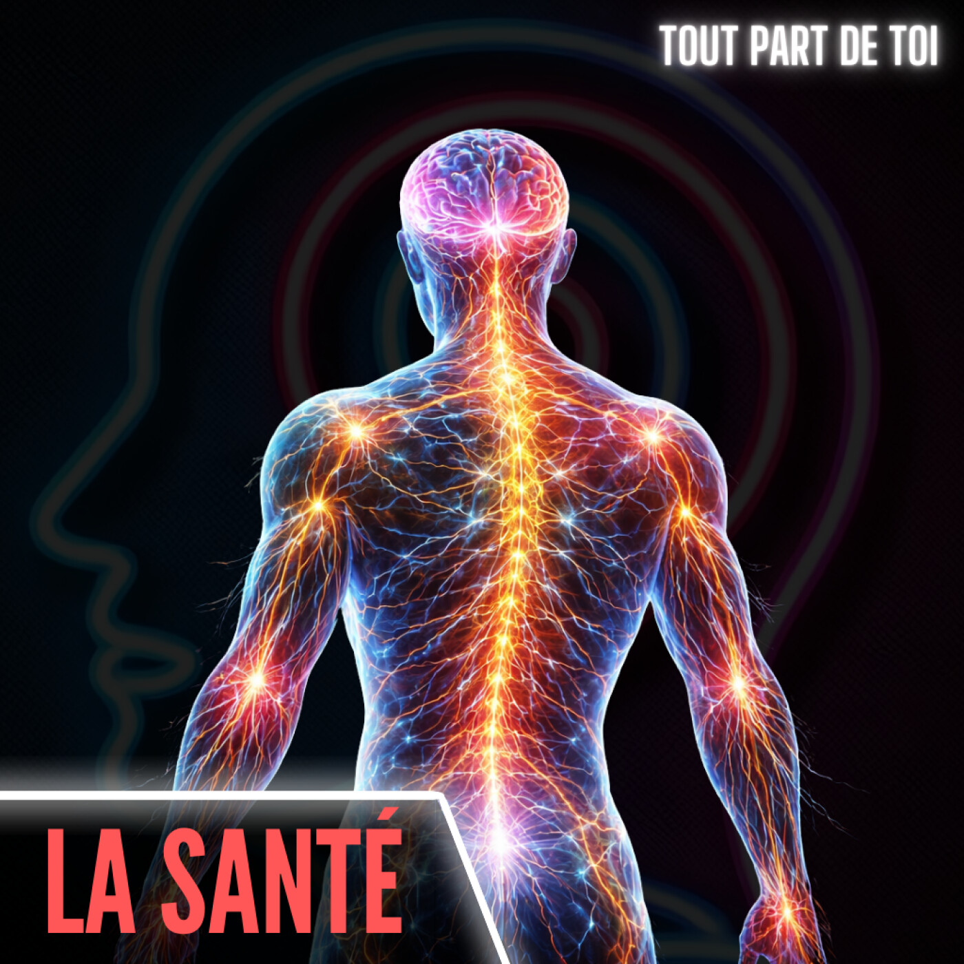 LA SANTÉ : comment ton état interne impacte négativement ton corps