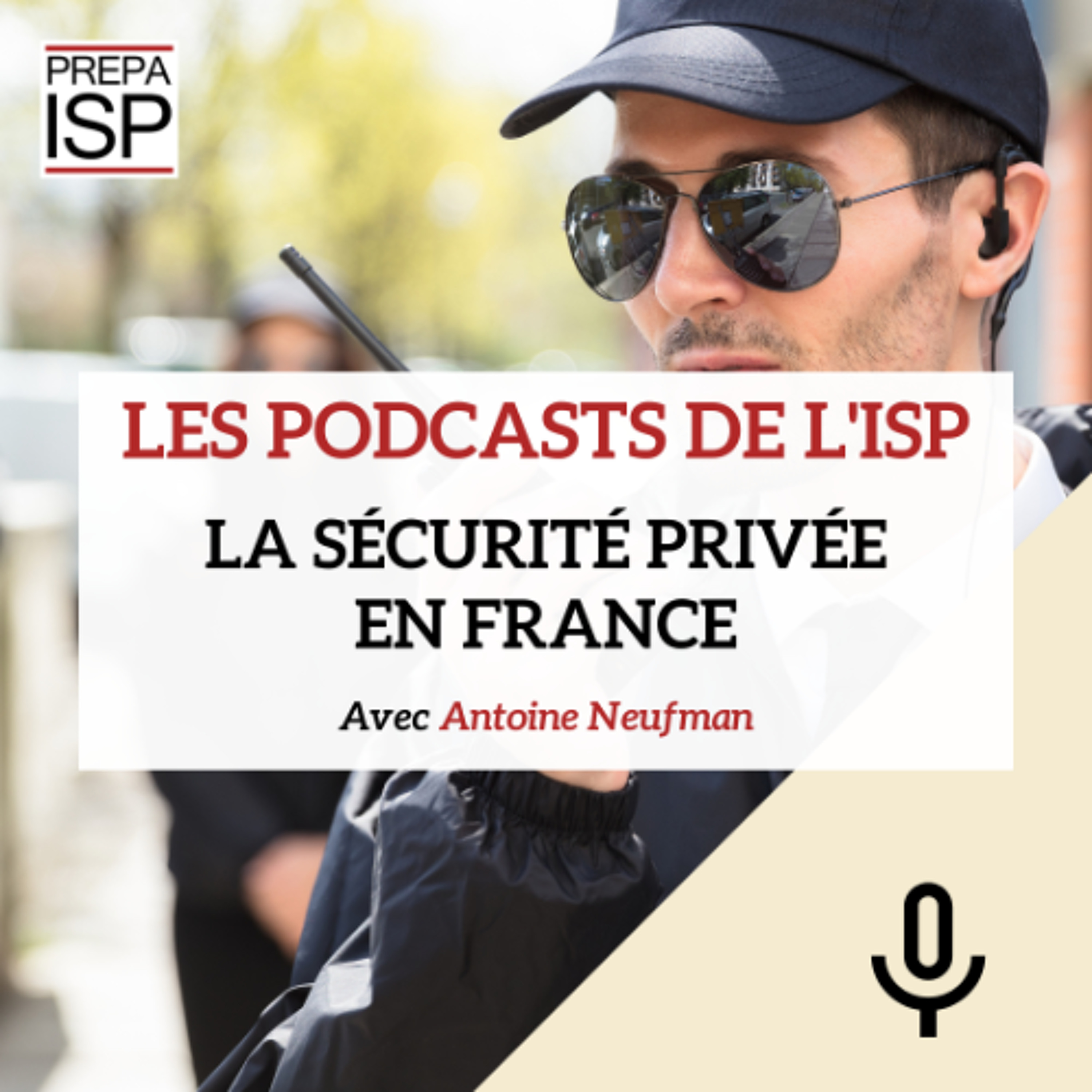 La sécurité privée en France cover art
