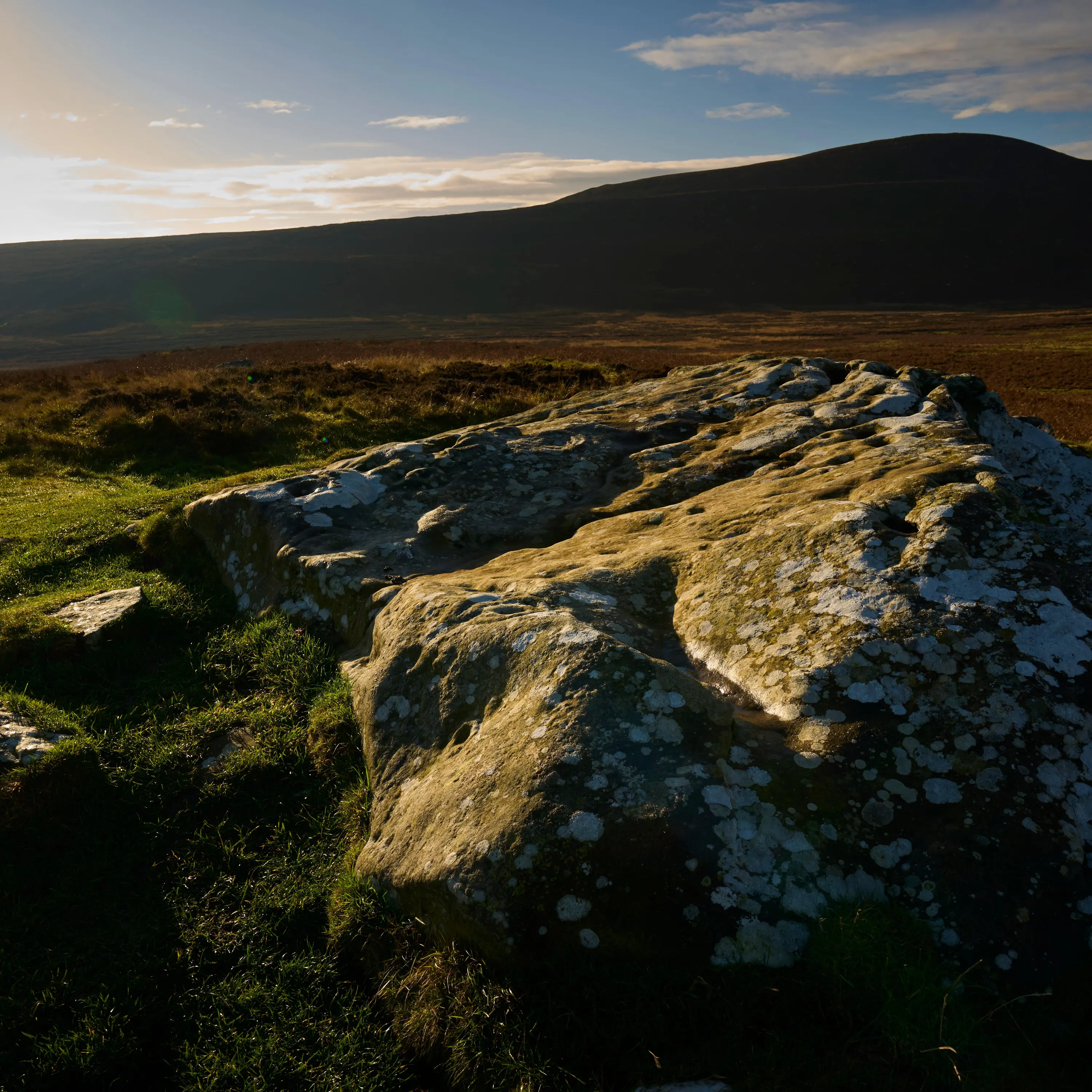 The Wildlife Trusts’ fight to save a historic English landscape cover art