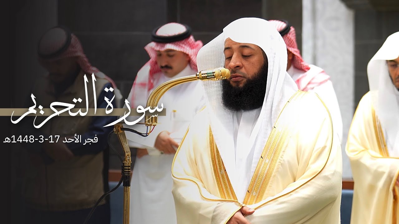 تلاوة هادئة لسورة التحريم كاملة للشيخ بدر التركي | فجر الأحد 17-3-1448هـ cover art