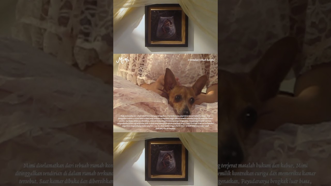 Banyak cerita dari mereka yang mungkin hanya sedikit kamu ketahui cover art