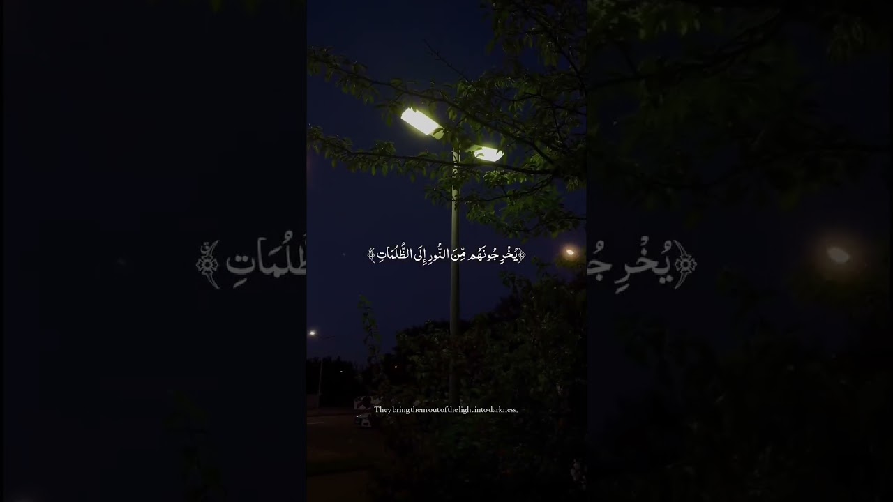 يارب ❤️ #عبدالرحمن_مسعد cover art