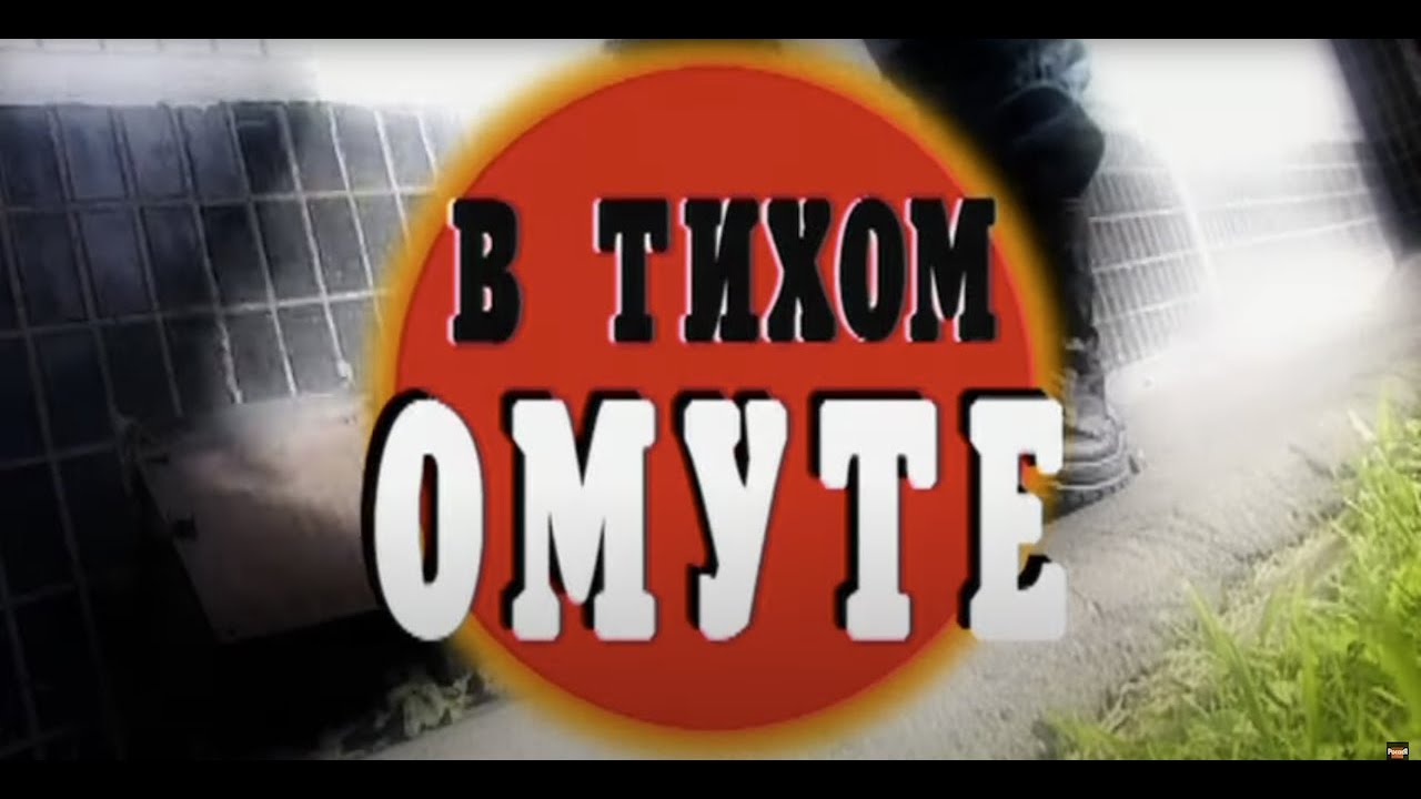 В тихом омуте