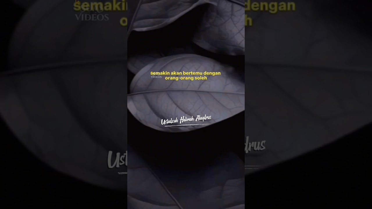 #ceramah #ustadzahhalimahalaydrus #dakwah #dakwahislam #kajianislam cover art