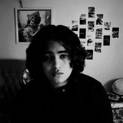 author avatar