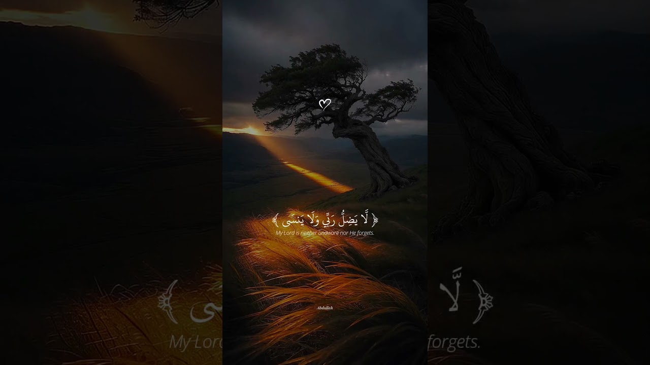 يارب ♥️ #عبدالرحمن_مسعد cover art