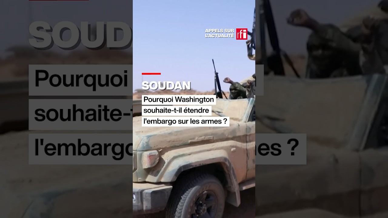 Soudan :xa0pourquoi Washington souhaite-t-ilxa0étendrexa0l'embargo sur les armes ? • RFI cover art